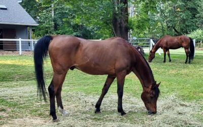 Alumni Update: Oscar