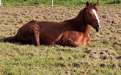 Alumni Update: Tiva