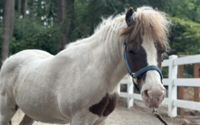 Alumni Update: Billy