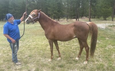 Alumni Update: Mesquite