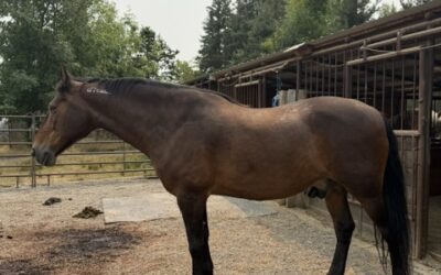 Alumni Update: Nyx