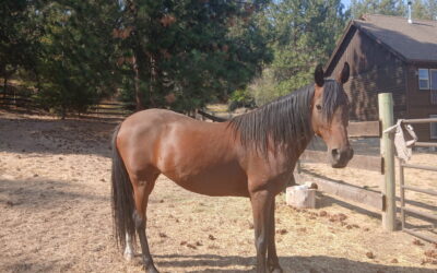 Alumni Update: Stella