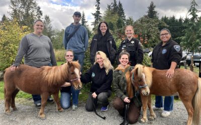Animal Control Training Day