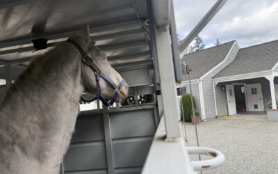 Medical Update: Stanley’s Eye Treatment and a Journey Toward Confidence